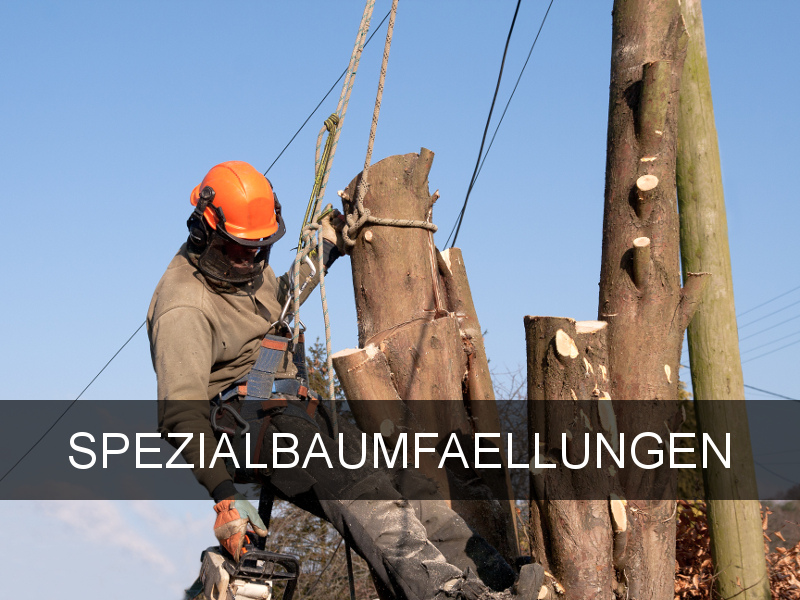 Forst Pfingstl - Hallein bei Salzburg (Tennengau), Österreich, Bayern